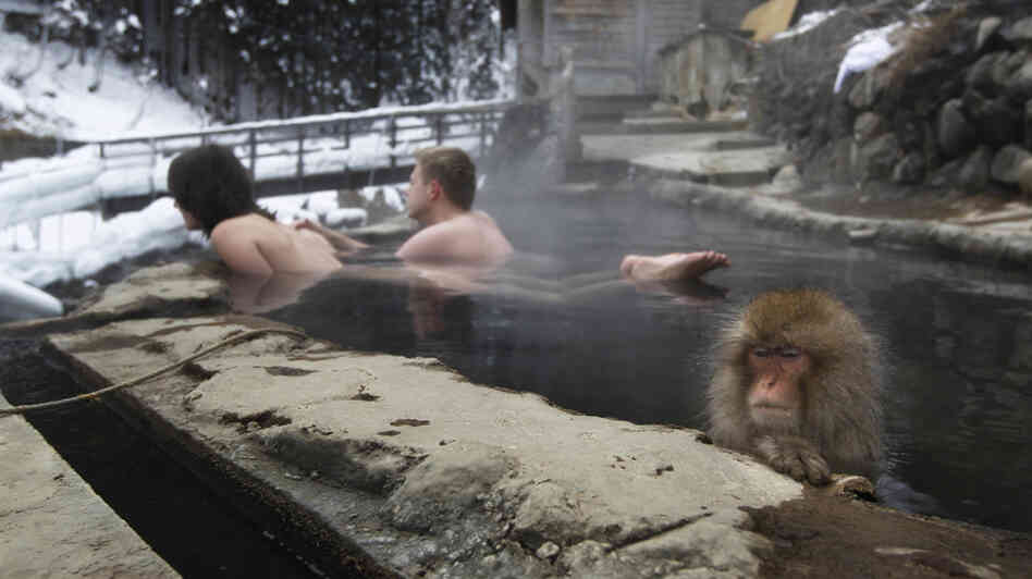 A couple from the Czech Republic bathe with a macaque in Nagano, central Japan, in January. 