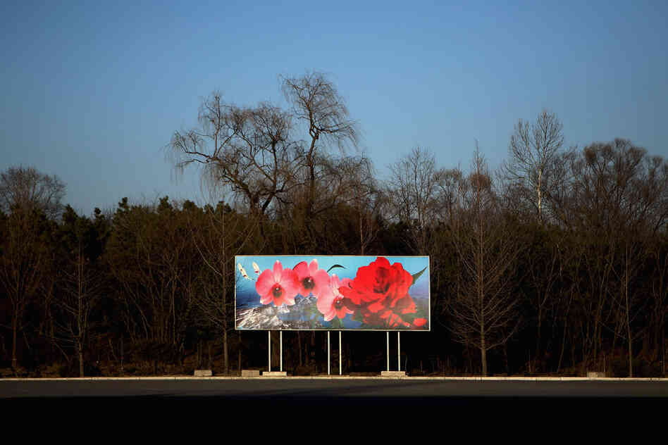 A picture of the Kim Il Sung flower is seen on the street.