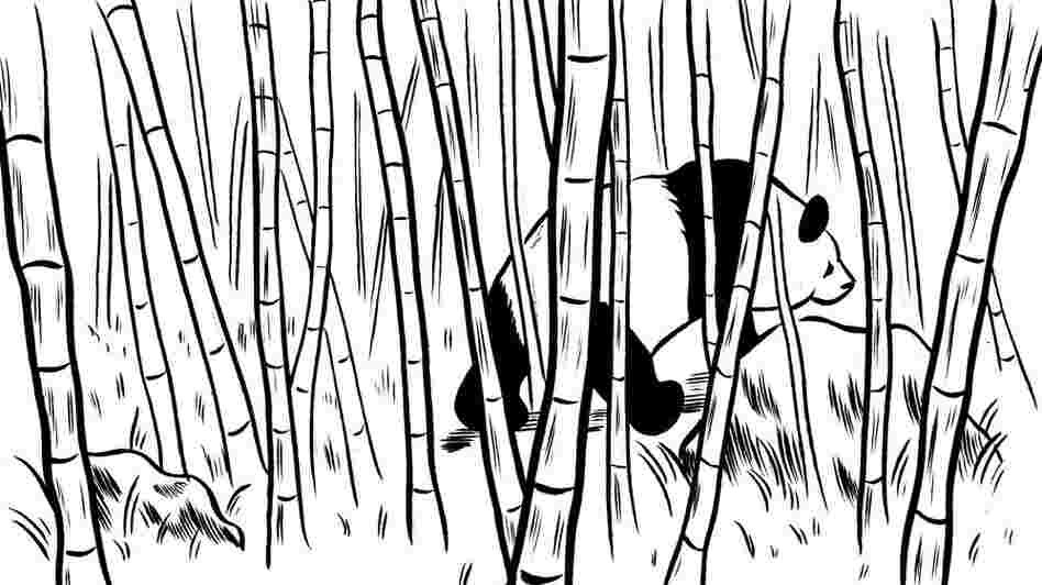 Panda in a bambo forrest. Panda in a bambo forrest.