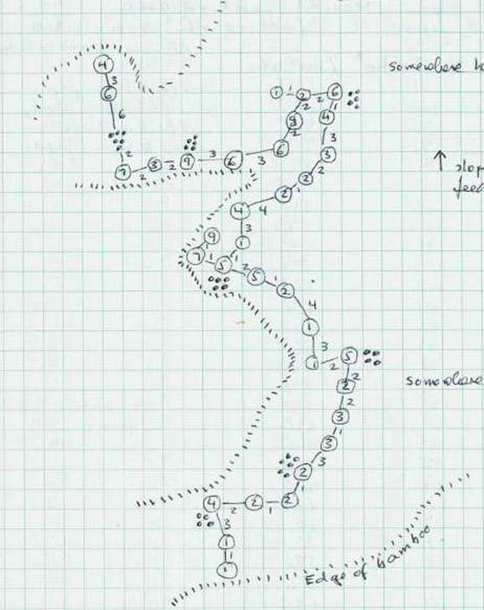 A map of a panda foraging on bamboo shoots.