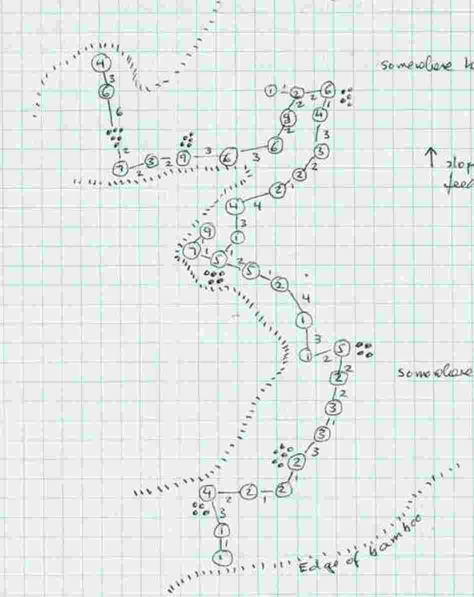 A map of a panda foraging on bamboo shoots.