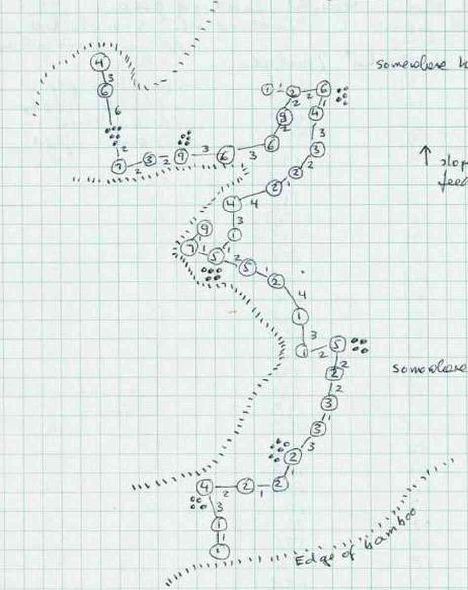 A map of a panda foraging on bamboo shoots.
