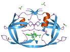 A rendering of a key protein the simian immunodeficiency virus uses to reproduce. A rendering of a key protein the simian immunodeficiency virus uses to reproduce.