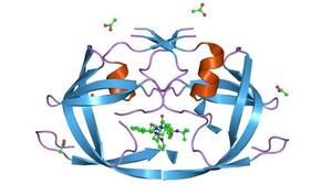 A rendering of a key protein the simian immunodeficiency virus uses to reproduce. A rendering of a key protein the simian immunodeficiency virus uses to reproduce.
