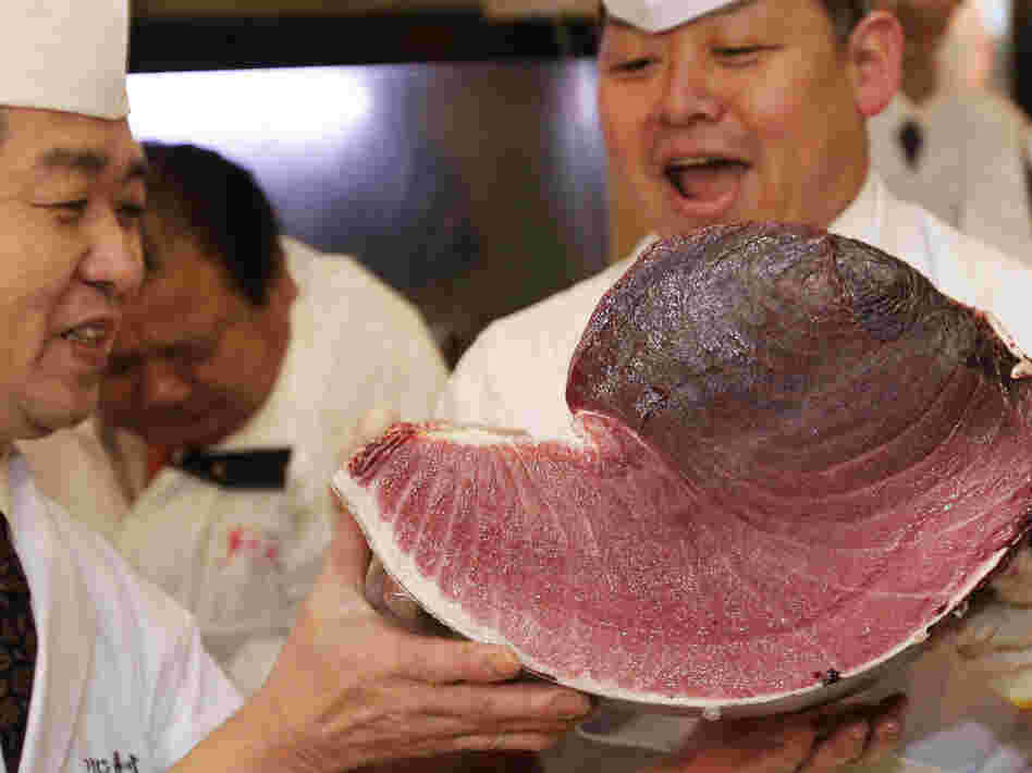 Sushi chefs of Kiyomura Co. hold a slice of a bluefin tuna near the Tsukiji fish market in Tokyo. The bluefin tuna caught off northeastern Japan fetched about $736,000 Thursday in the first auction of the year at the fish market.