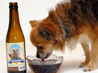 'Rottoms 'Rup! Benito, a Chihuahua, sampled Kwispelbier back in 2007. 'Rottoms 'Rup! Benito, a Chihuahua, sampled Kwispelbier back in 2007.