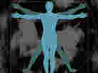 Simple Vitruvian Man Simple Vitruvian Man