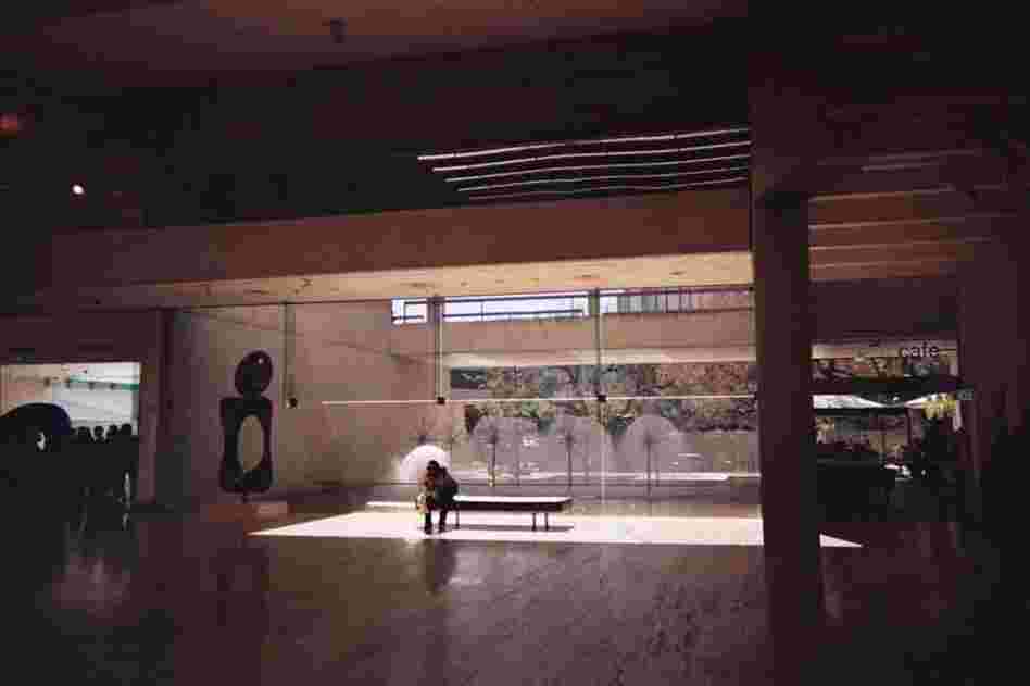 Camera 210: Handed over in Carluccio's Covent Garden London by Kirsty S., and taken on to Cairns, Australia by Ben O.