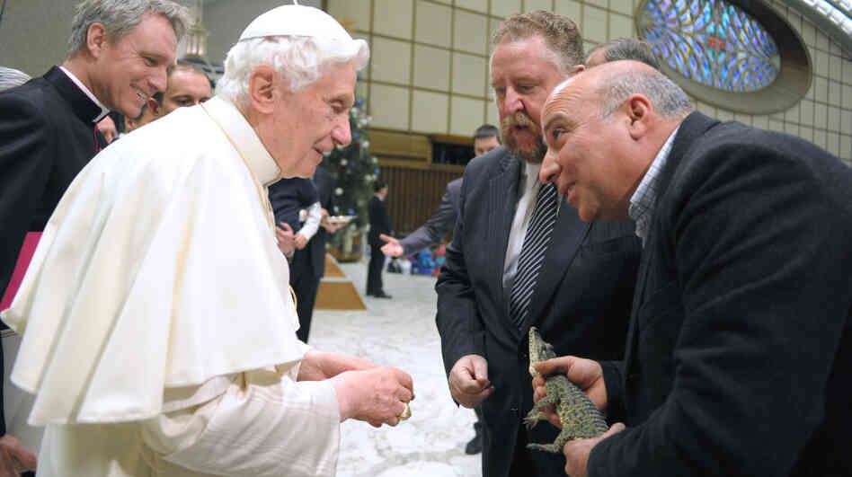Pope Benedict XVI will travel in March to Cuba, where he's expected to endorse the growing dialogue between the church and the state. Here, an employee from the Rome's Biopark zoo holds a rare Cuban crocodile Wednesday, as he meets the pontiff at the Vatican. The crocodile will be returned to Cuba around the time the pope visits the island. Pope Benedict XVI will travel in March to Cuba, where he's expected to endorse the growing dialogue between the church and the state. Here, an employee from the Rome's Biopark zoo holds a rare Cuban crocodile Wednesday, as he meets the pontiff at the Vatican. The crocodile will be returned to Cuba around the time the pope visits the island.