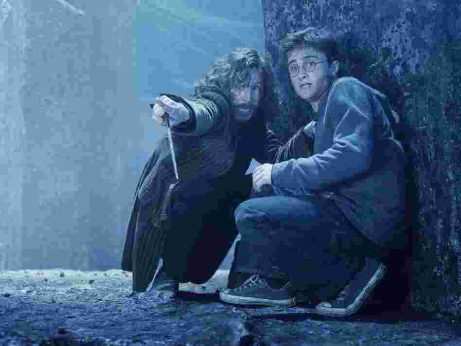 Oldman played Sirius Black to Daniel Radcliffe's Harry Potter in the blockbuster franchise.