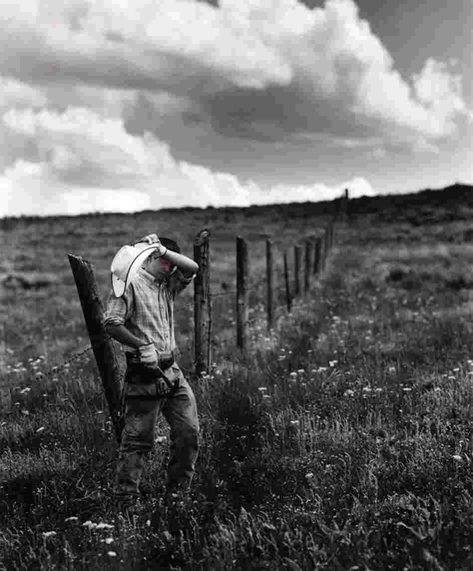 Taylor Fixing Fences, Burns, Colo., 2009