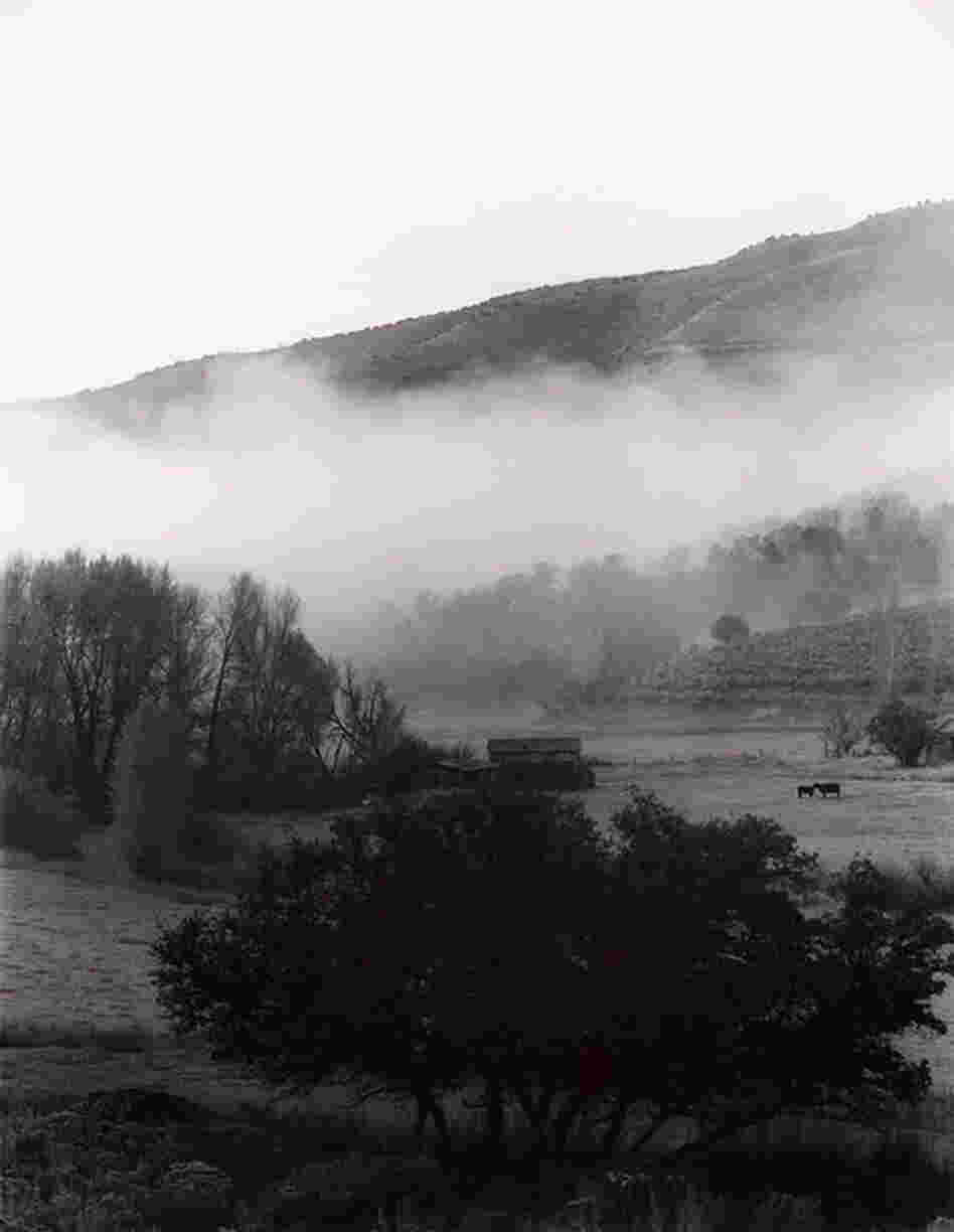 Fog, Gypsum, Colo., 2006