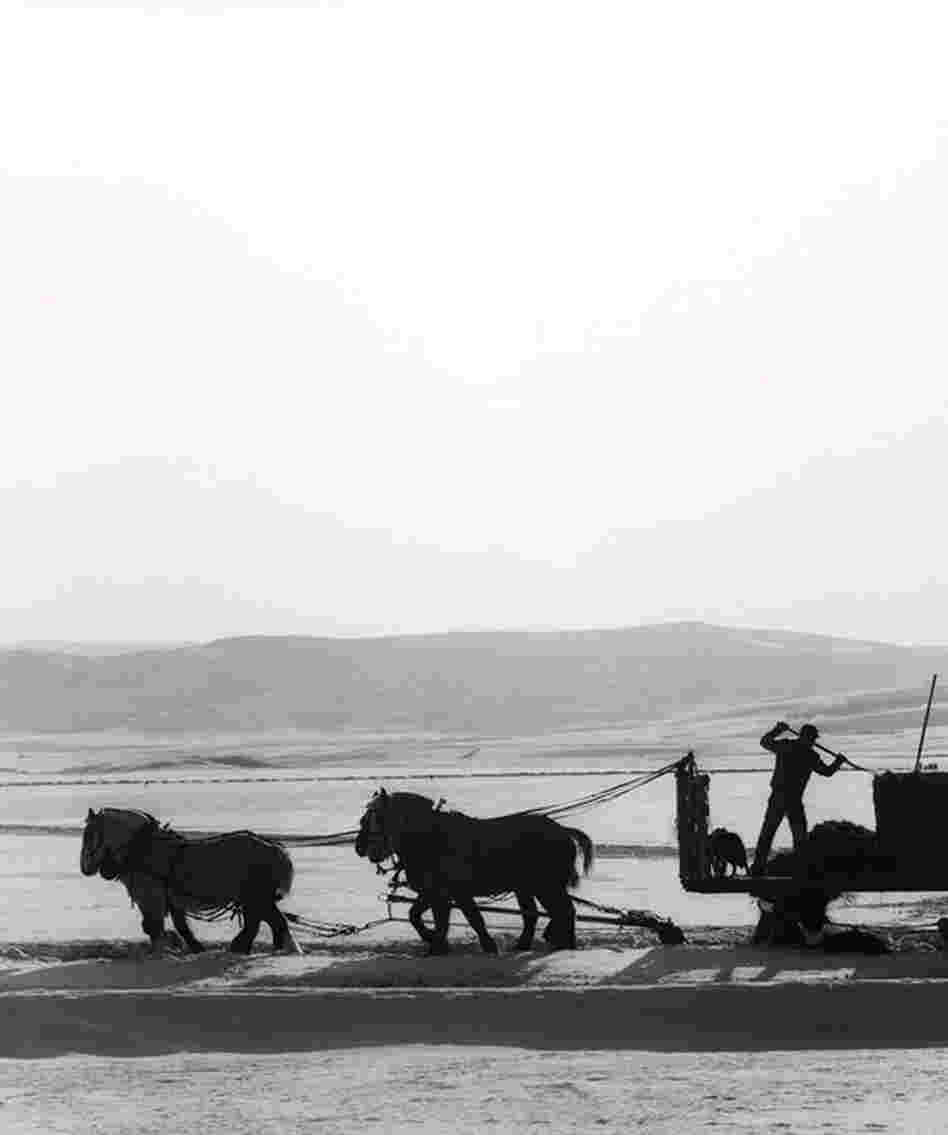 Feeding by Sleigh, Toponas, Colo., 2009