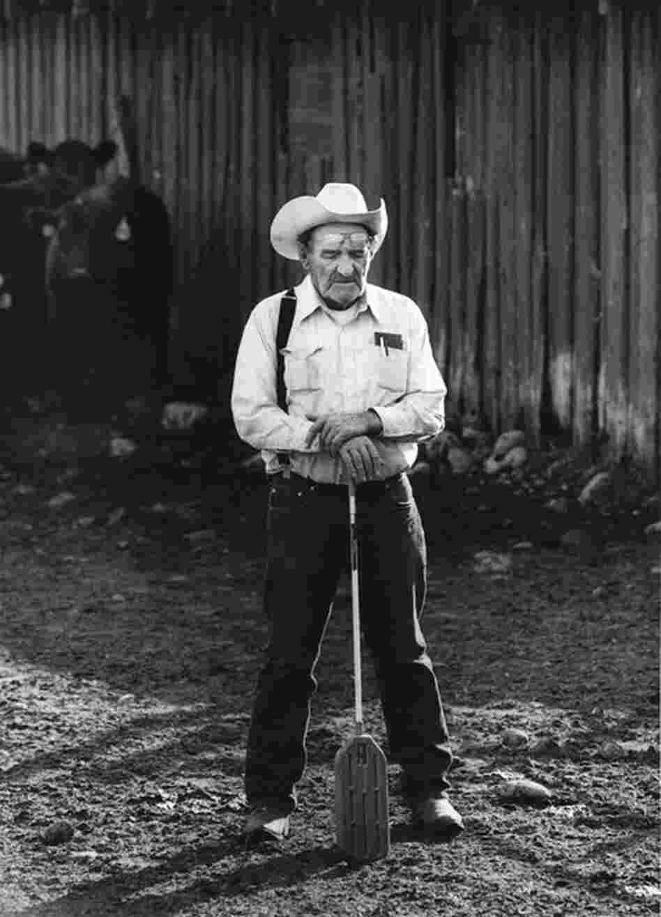 Cattle Broker, Yampa, Colo., 2009