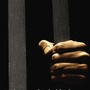 cover detail: The New Jim Crow