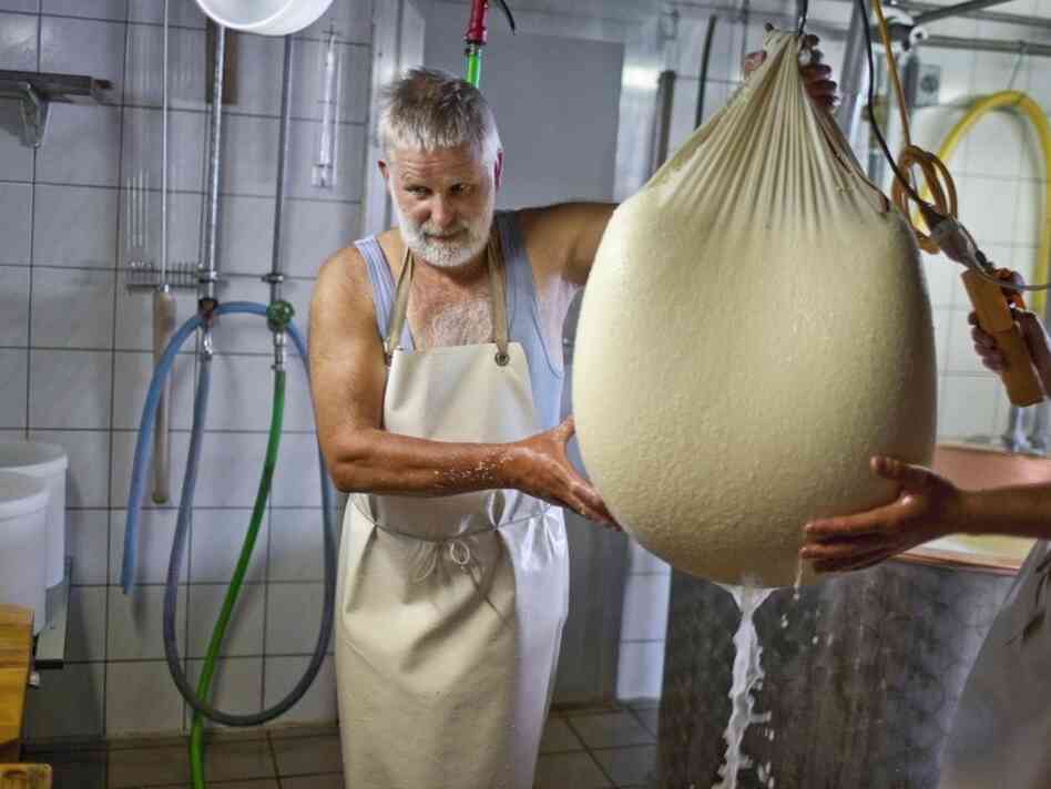 Swiss cheese-maker Ernst Waser lets the whey drain off from the skimmed cheese curd through the cheesecloth.