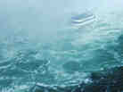 The Odds cover detail The Odds cover detail
