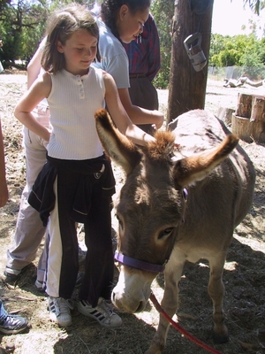 Two donkeys, cared for by the community, live on Witt's property. The donkeys attract daily visits from children, in part because one of the animals was the model for the Donkey character in the Shrek movies. Two donkeys, cared for by the community, live on Witt's property. The donkeys attract daily visits from children, in part because one of the animals was the model for the Donkey character in the Shrek movies.