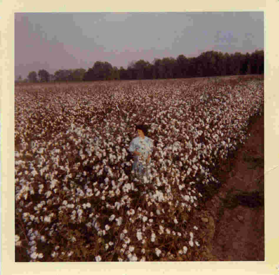 An untitled photograph from Robbins' family collection An untitled photograph from Robbins' family collection