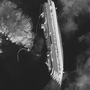 This satellite image taken Tuesday shows the hulk of the luxury cruise ship Costa Concordia, which ran aground off the tiny Tuscan island of Giglio. This satellite image taken Tuesday shows the hulk of the luxury cruise ship Costa Concordia, which ran aground off the tiny Tuscan island of Giglio.