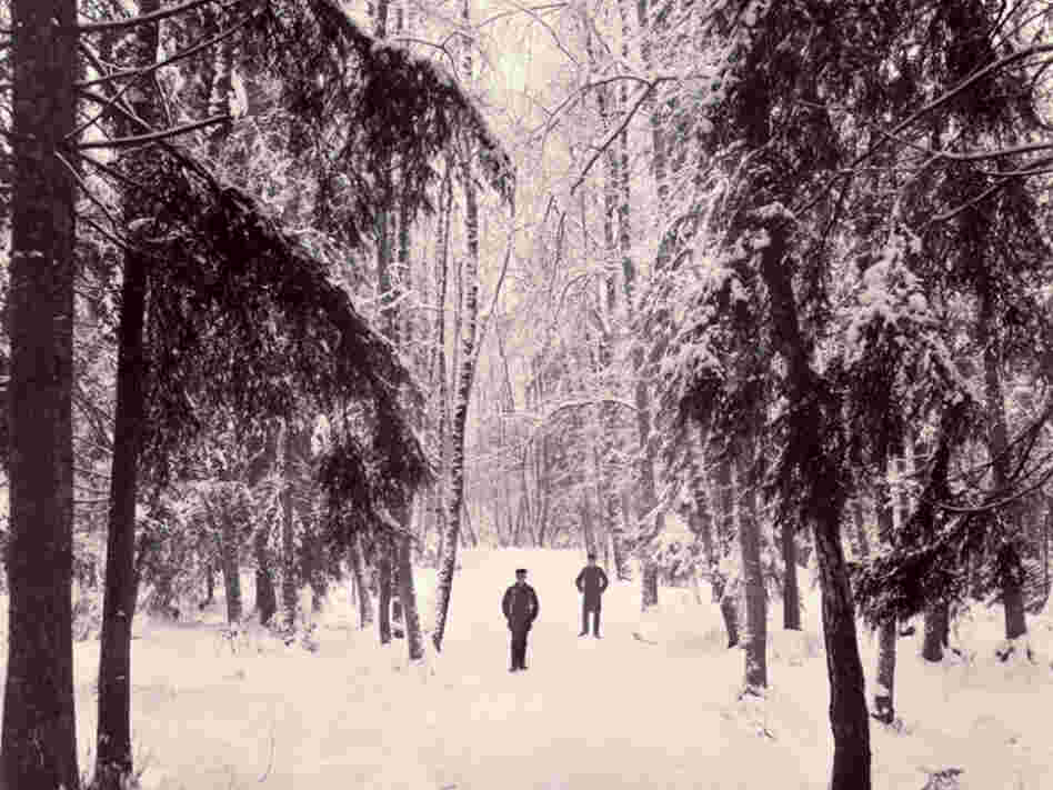 The members of Drudkh do not give interviews or take photos, so here's an archival grim image of a couple of dudes and some trees. Enlarge for maximum bleakness.
