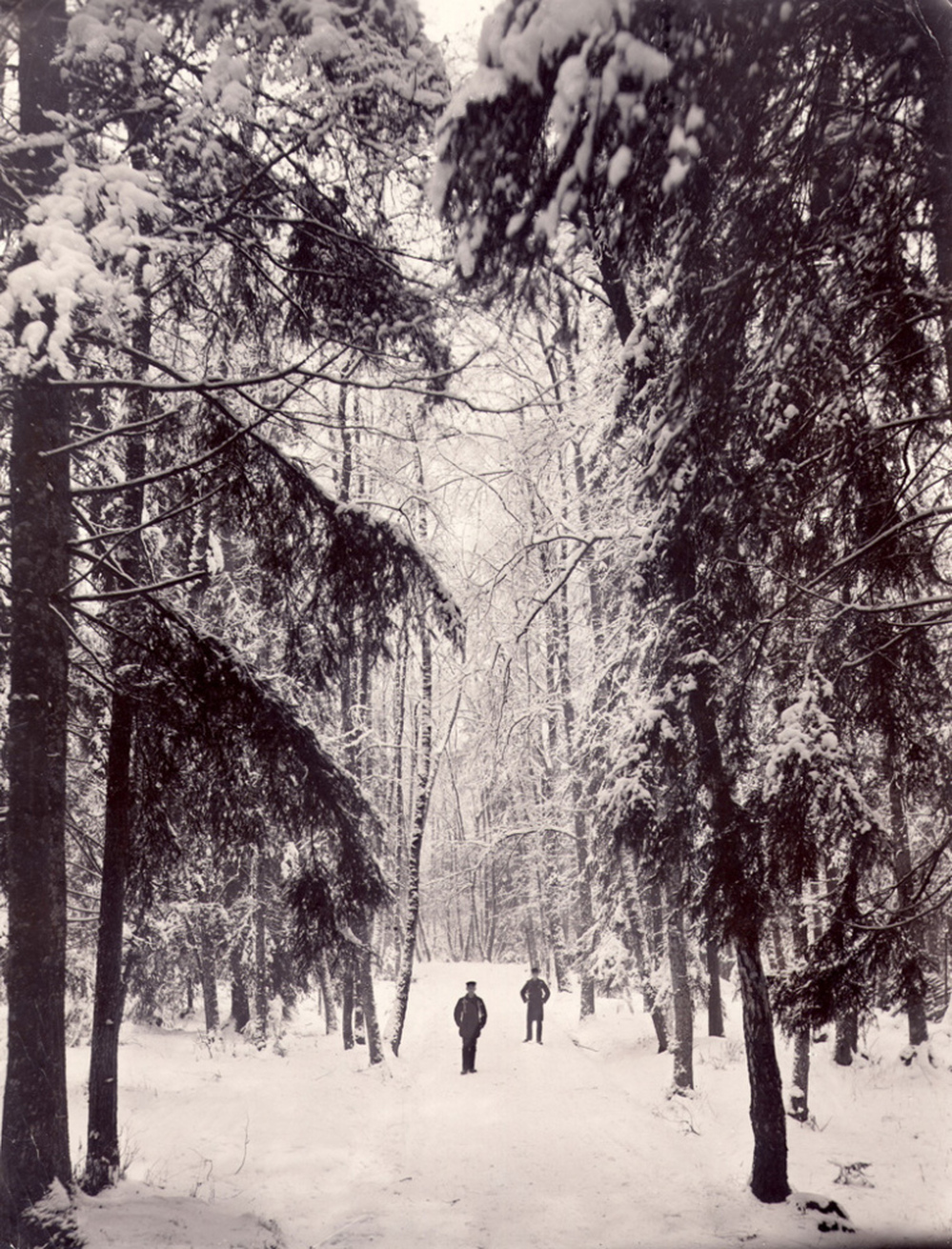 The members of Drudkh do not give interviews or take photos, so here's an archival grim image of a couple of dudes and some trees. Enlarge for maximum bleakness.