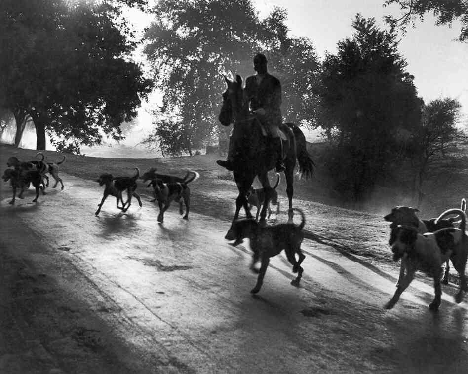 Col. Sahi leads a misty morning fox hunt in Delhi in the early 1940s. This was one of Vyarawalla's favorite images. She recalled in the book "Camera Chronicles of Homai Vyarawalla" that she was nearly mauled by huge hunting dogs that day.