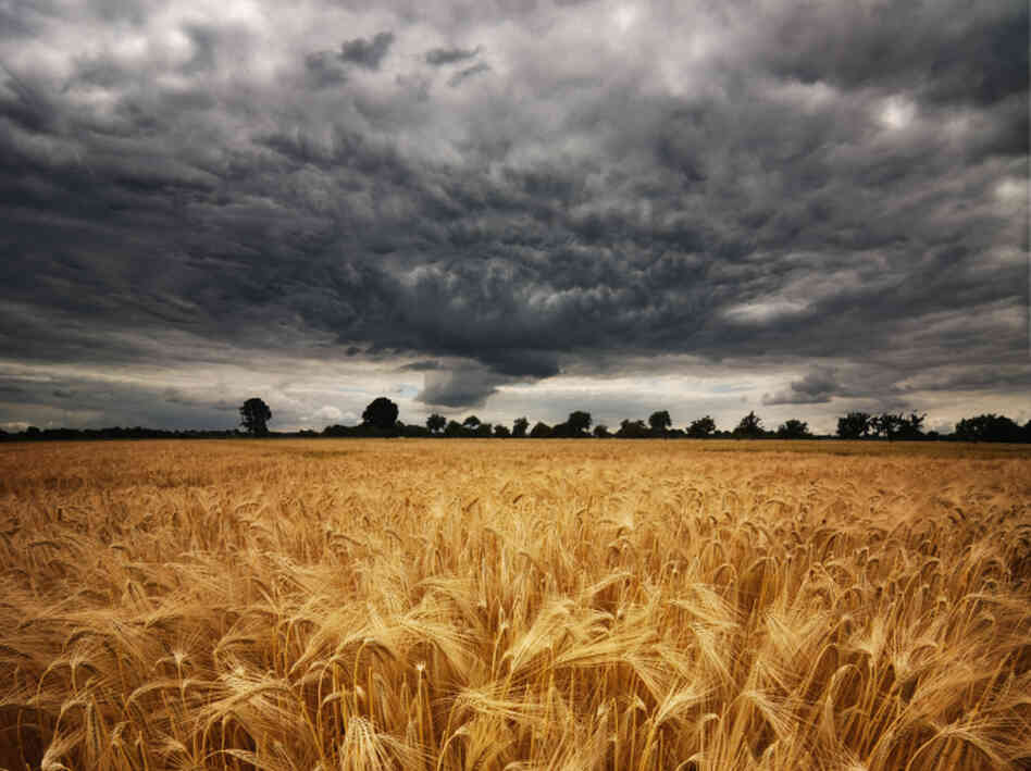 Altering the upper atmosphere could block enough sunlight to offset the warming effects of climate change and protect food crops. But what are the risks?