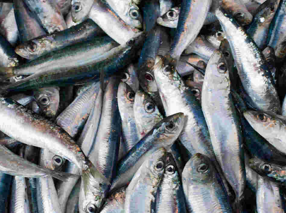 Sustainably caught fish are no longer found just at fancy fishmongers.