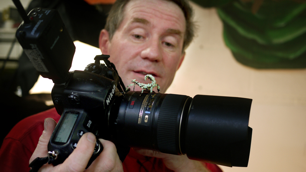An Australian prickly stick hops on the lens of Joel Sartore's camera.