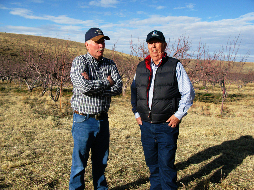 Miles and Kent Romney, (left to right), distant cousins of former Massachusetts governor Mitt Romney, in Colonia Juarez, Mexico. Miles believes his cousin's candidacy is nothing less than prophetic.