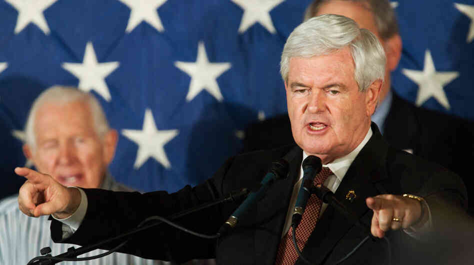 Republican presidential candidate Newt Gingrich speaks to supporters in Sarasota, Fla., on Tuesday.