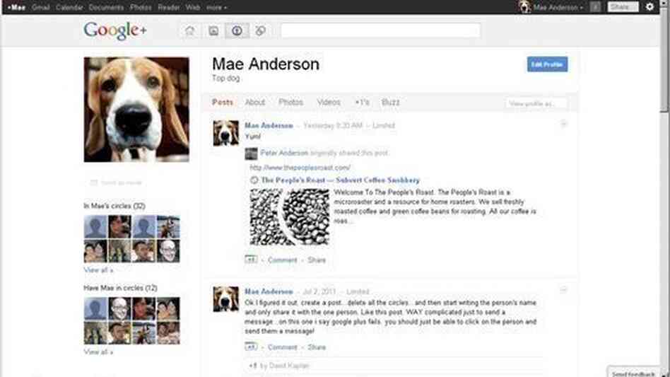 On the Internet, no one knows you're a dog. But your true identity is key to Google+. On the Internet, no one knows you're a dog. But your true identity is key to Google+.