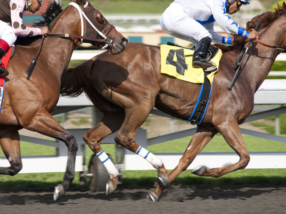Luck, the new HBO drama created by David Milch, is about the inside world of horse racing. 