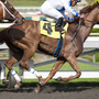 Luck, the new HBO drama created by David Milch, is about the inside world of horse racing. 