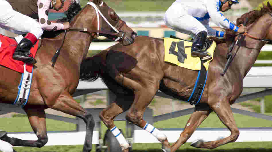 Luck, the new HBO drama created by David Milch, is about the inside world of horse racing. 