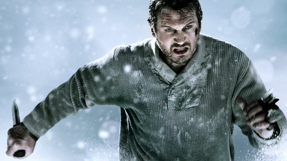 Liam Neeson stars in The Grey as a guy who's taking on some wolves.