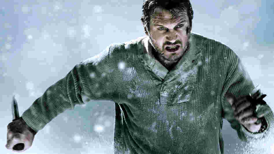 Liam Neeson stars in The Grey as a guy who's taking on some wolves.