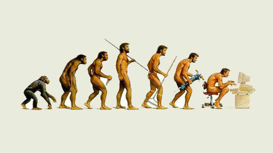 Evolution Image Evolution Image