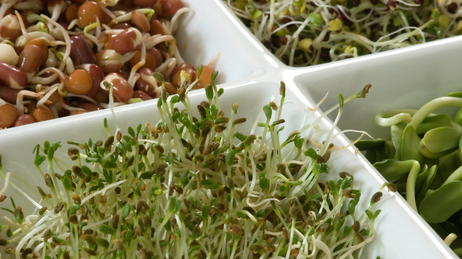 Fresh and green, yes. Clean, maybe not. Fresh and green, yes. Clean, maybe not.
