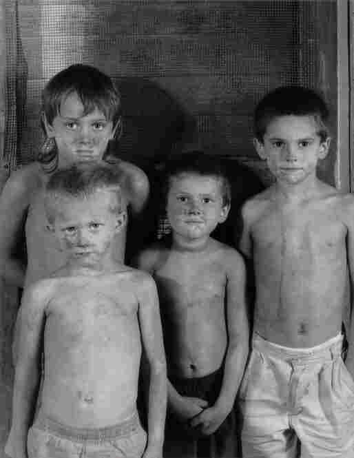 The Jacobs and Collins Boys, 2003