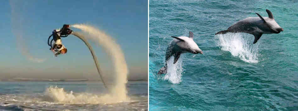 The Flyboard can flip like a dolphin. 