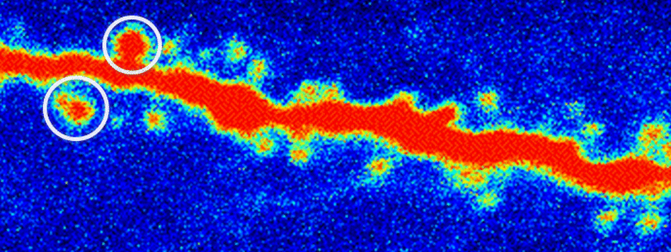 A rat neuron without ketamine treatment.
