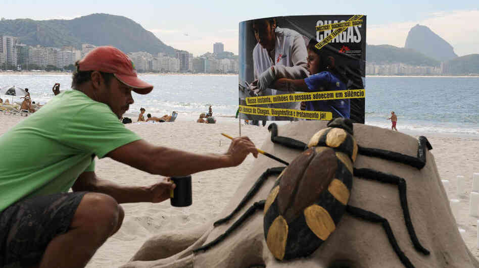 An artist on Rio de Janeiro's Copacabana beach puts the final touches on a sand sculpture of the assassin bug, which spreads Chagas disease. The sculpture was part of an event in 2009 commemorating the 100th anniversary of the discovery of the disease.