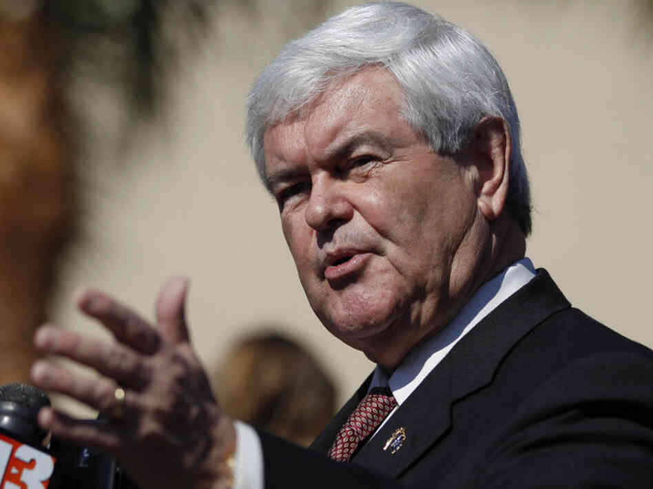 While talking with the media outside the Exciting Idlewild Baptist Church in Lutz, Fla., on Sunday, former House Speaker Newt Gingrich called for a commission to look at new rules for clinics that perform in vitro fertilization.