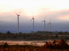 Quixotic Enterprise? Laura Israel's documentary, Windfall, tracks the impact of a wind farm development on an increasingly reluctant citizenry in rural New York. Quixotic Enterprise? Laura Israel's documentary, Windfall, tracks the impact of a wind farm development on an increasingly reluctant citizenry in rural New York.