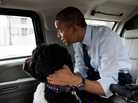 President Obama traveled in the presidential limo with his dog, Bo. Adviser David Axelrod tweeted this photo from the White House Flickr account to tweak the Romney campaign. President Obama traveled in the presidential limo with his dog, Bo. Adviser David Axelrod tweeted this photo from the White House Flickr account to tweak the Romney campaign.