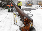 A crew of linemen working for Puget Sound Energy remove a power pole that fell down after a tree covered in ice fell on a transmission line near a substation in January in Olympia, Wash. Weather and tree branches cause 40 percent of power outages in the U.S. A crew of linemen working for Puget Sound Energy remove a power pole that fell down after a tree covered in ice fell on a transmission line near a substation in January in Olympia, Wash. Weather and tree branches cause 40 percent of power outages in the U.S.