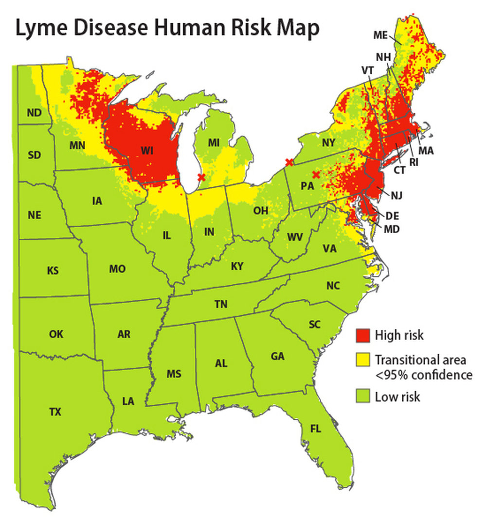 The highest human risk for Lyme disease lies in the Northeast, Mid-Atlantic and Upper Midwest.