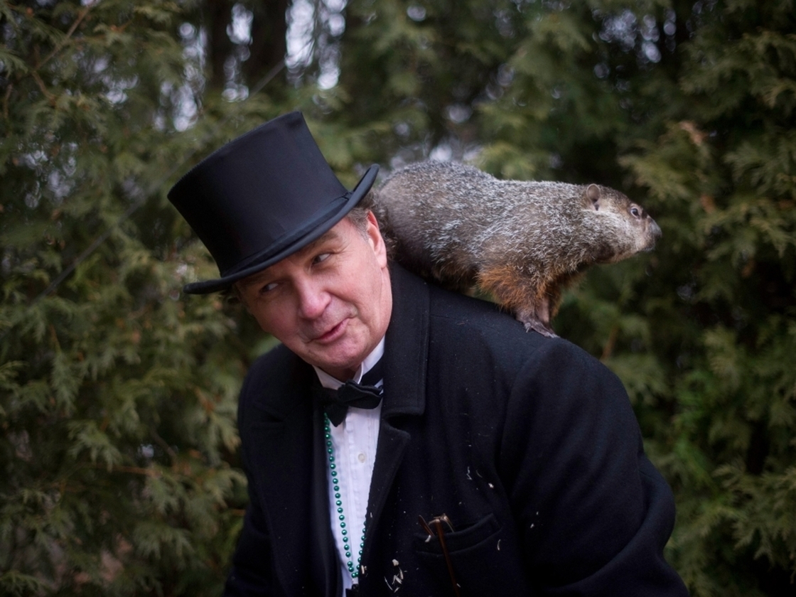 Groundhog handler John Griffiths holds Punxsutawney Phil after he saw his shadow predicting six more weeks of winter during annual Groundhog Day festivities Thursday in Punxsutawney, Pa.
